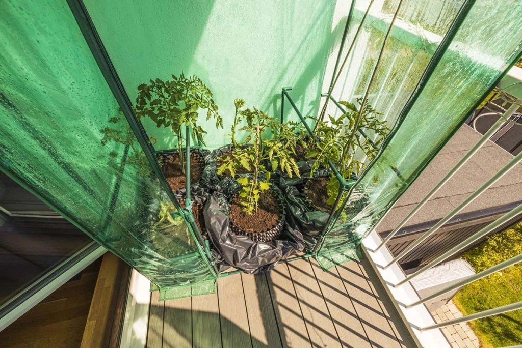 a balcony with a small greenhouse filled with pots with plants