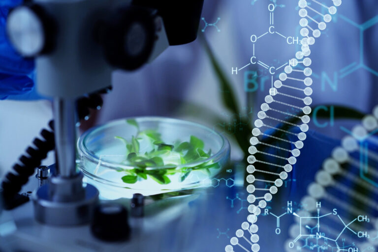 20 Genetic Engineering Pros and Cons for the Biotechnology Era